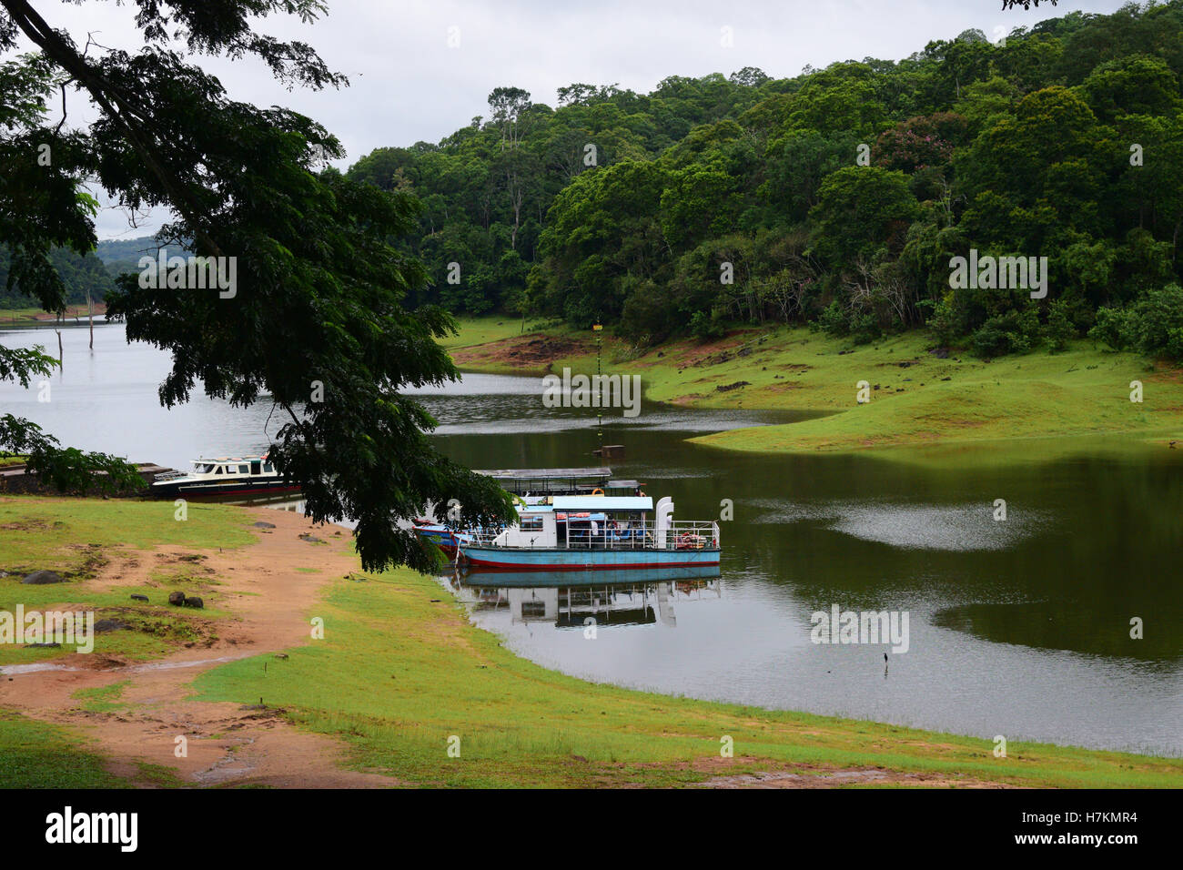 Thekkady attrazione turistica in Kerala India Thekkady Lago vista in barca al Parco Nazionale del Periyar i Ghati occidentali delle foreste Foto Stock