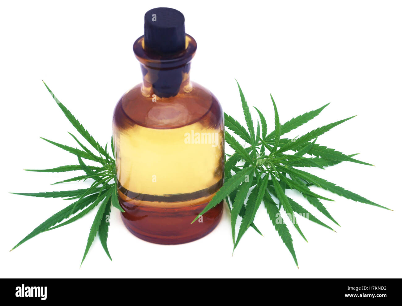 La cannabis medicinale foglie con olio estratto in una bottiglia su sfondo bianco Foto Stock