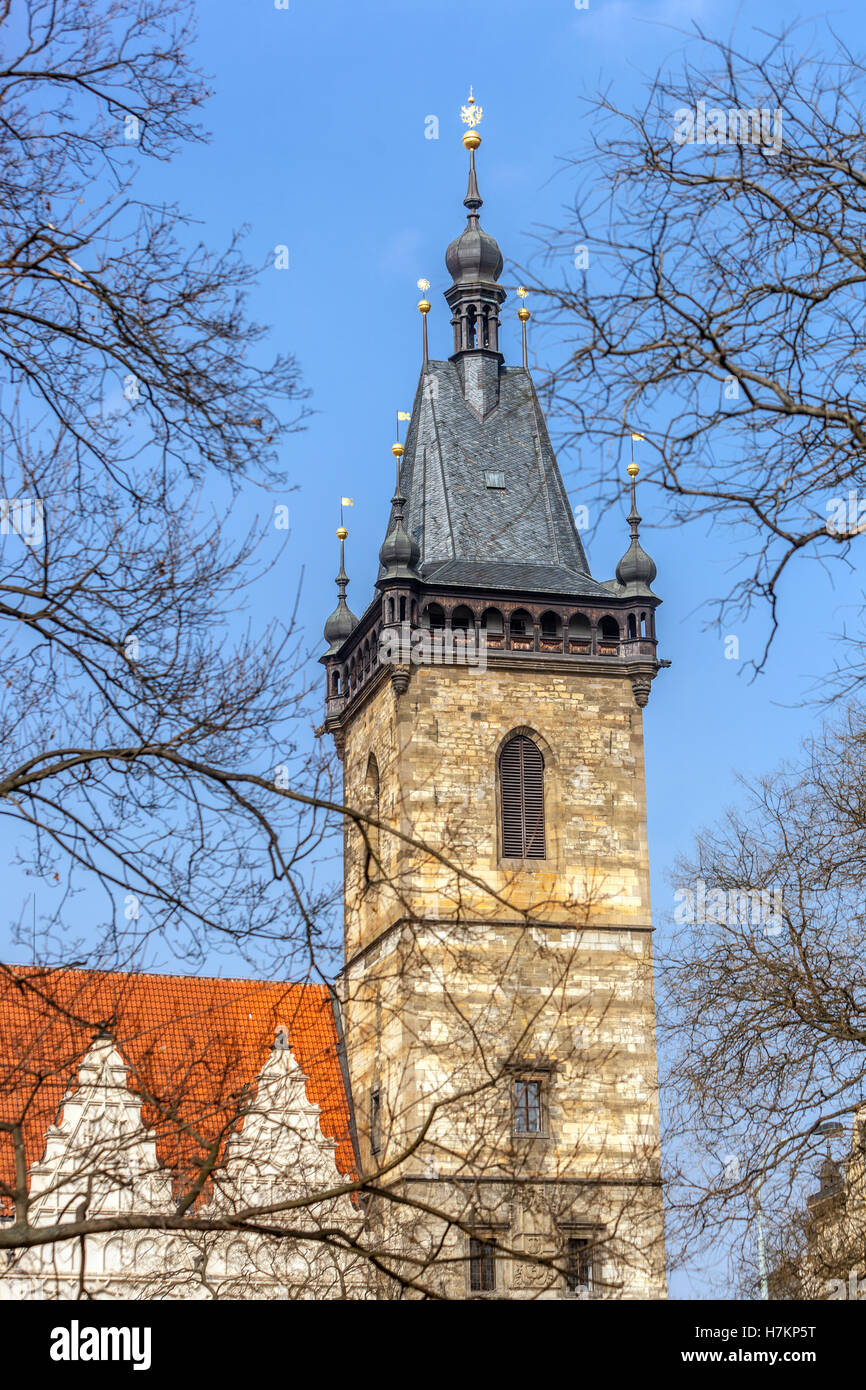 Karlovo namesti, Municipio nuovo Charles Square, Praga, Repubblica Ceca Foto Stock