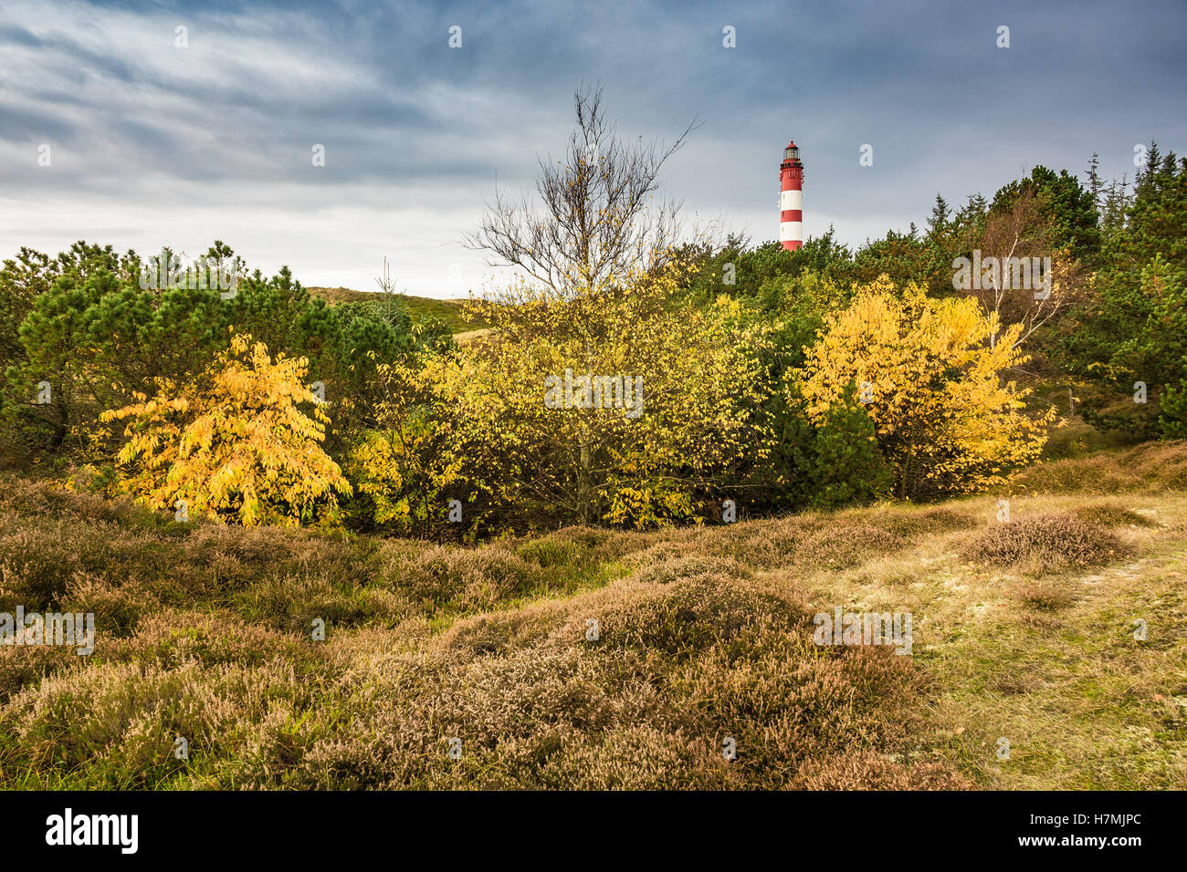 Faro in Wittduen sull'isola Amrum, Germania Foto Stock