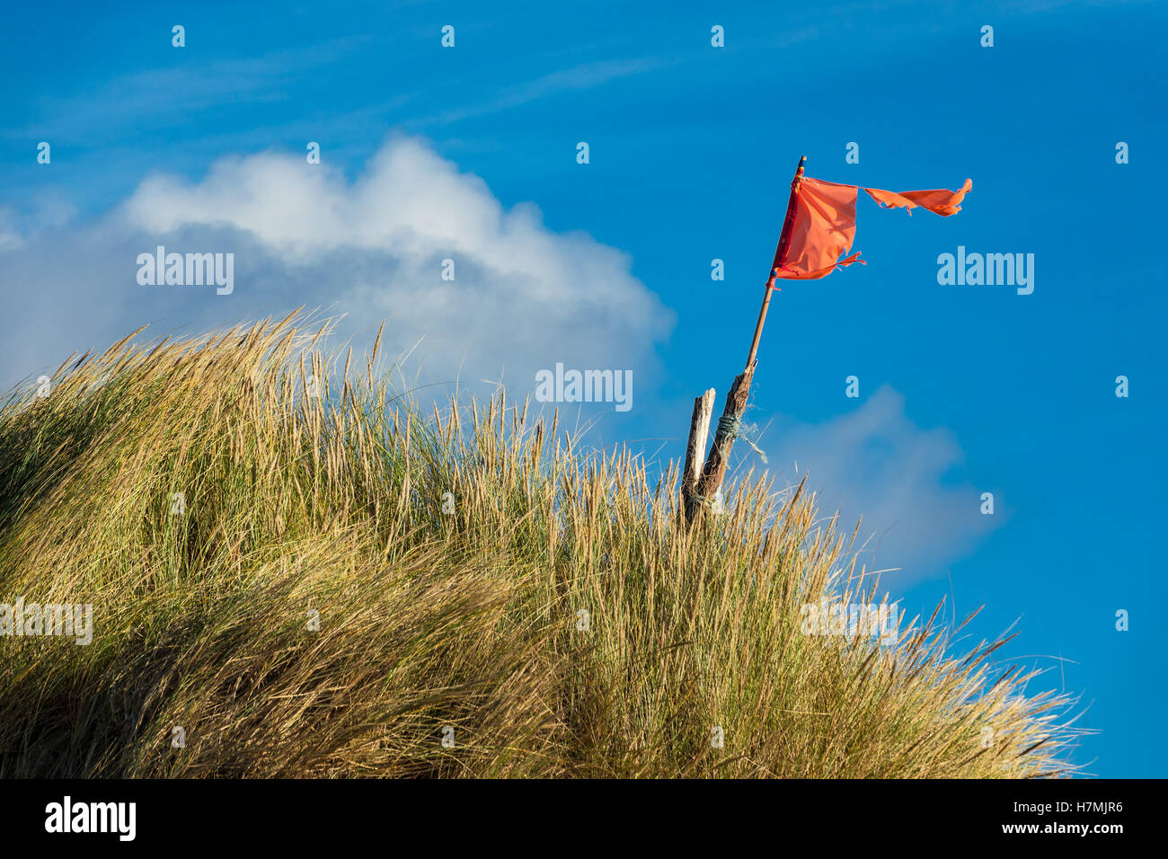 Dune sulla costa del Mare del Nord dell'isola Amrum, Germania Foto Stock