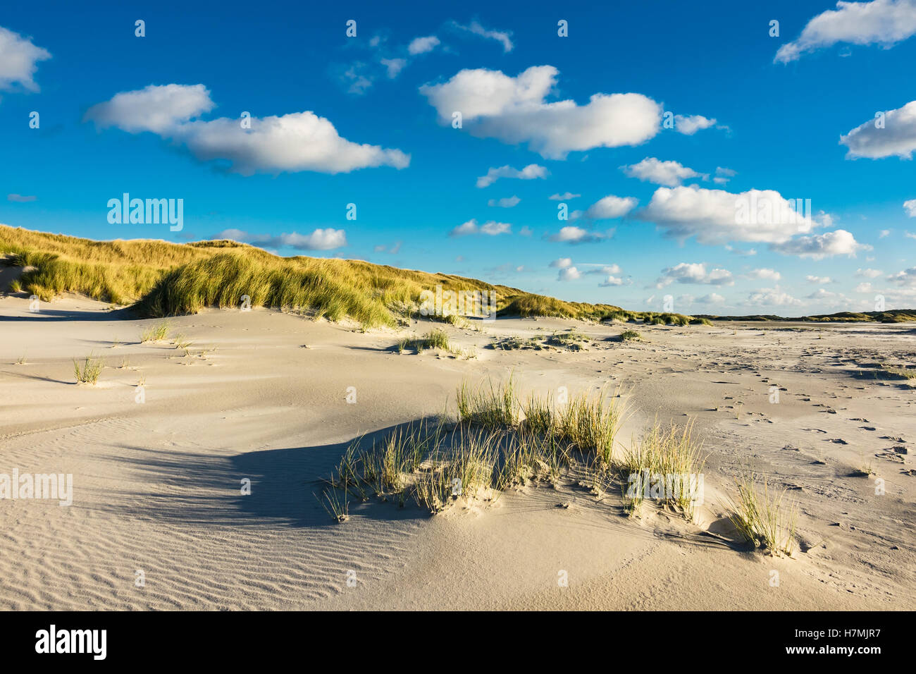 Dune sulla costa del Mare del Nord dell'isola Amrum, Germania Foto Stock