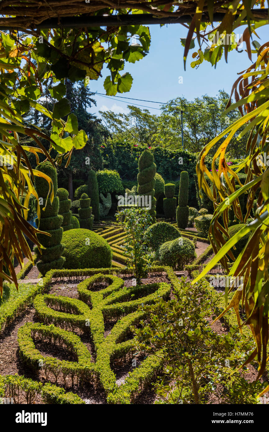 Giardino Botanico Jardim Botanico, a Madeira, Portogallo. Foto Stock