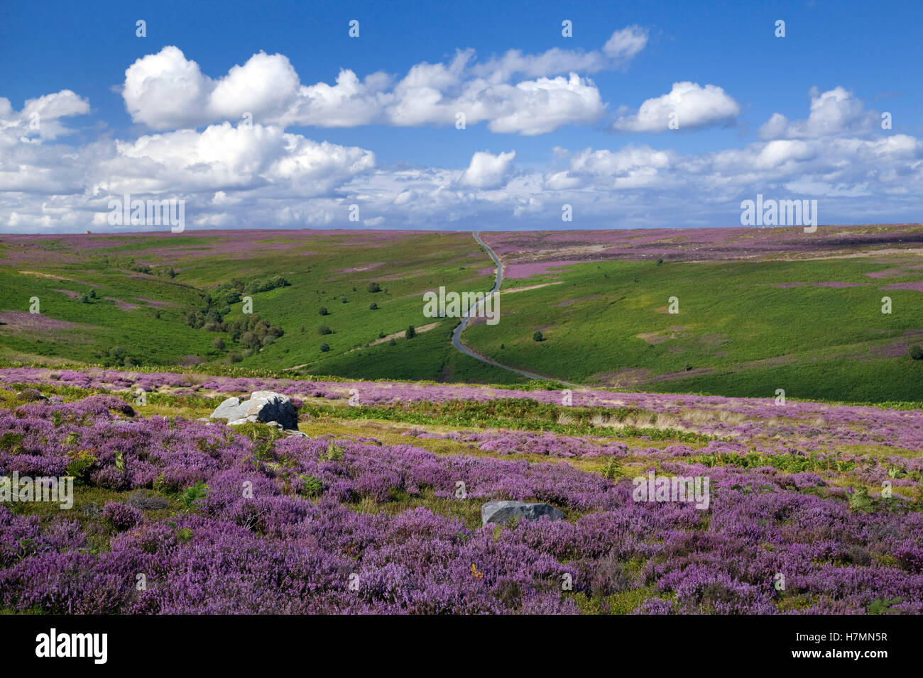 Saxonville moor North York Moors National Park North Yorkshire England Regno Unito Foto Stock