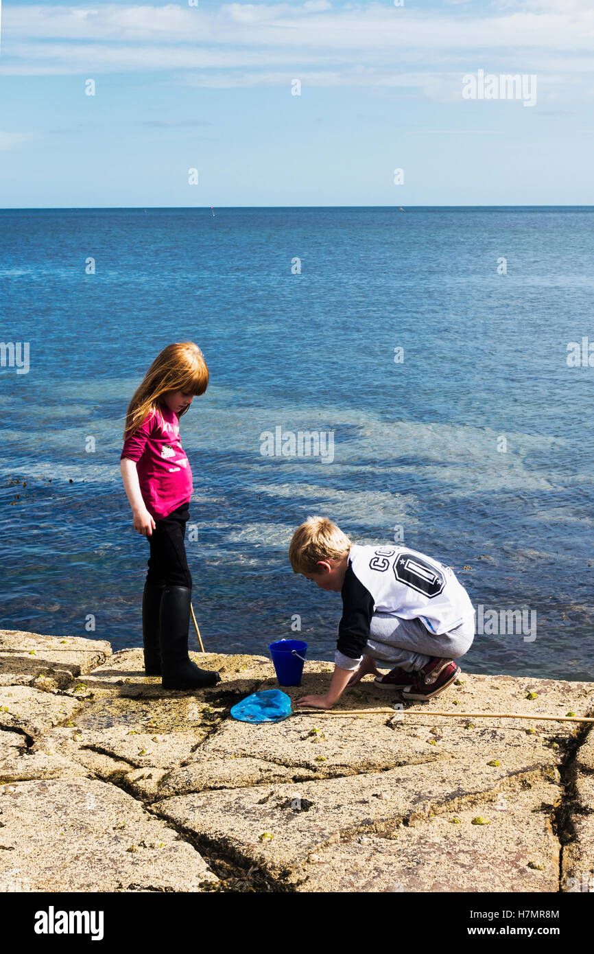 Due figli, fratelli di età compresa tra sei e sette anni, studiare la loro cattura. Foto Stock
