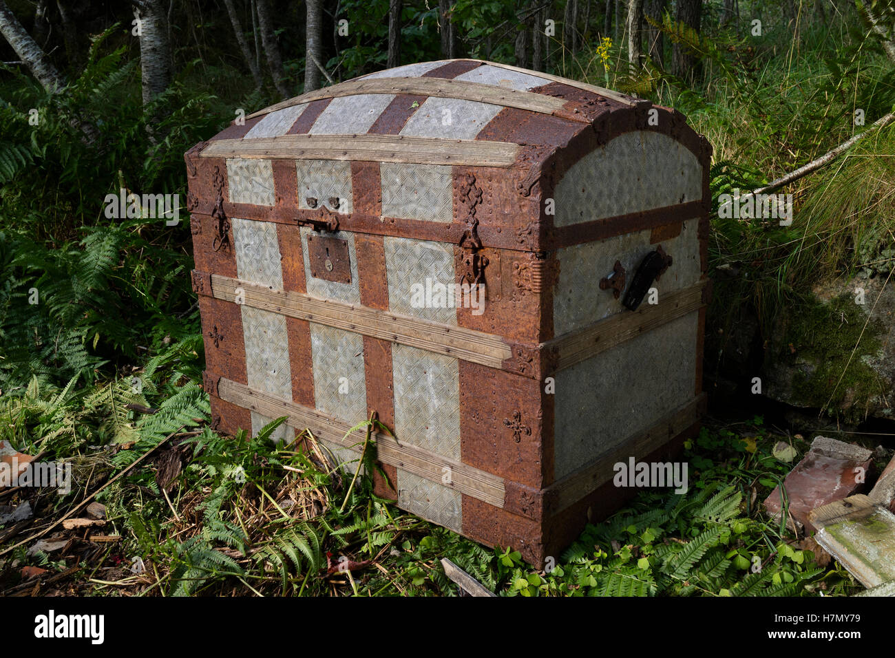 Misterioso vecchio arrugginito torace perso all'aperto Foto Stock