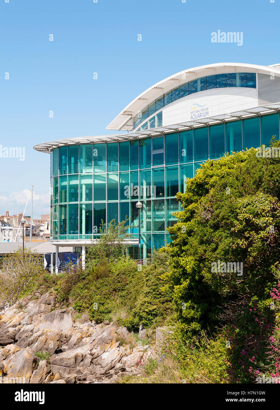 Il National Marine Aquarium di Plymouth, Devon, Inghilterra, Regno Unito Foto Stock