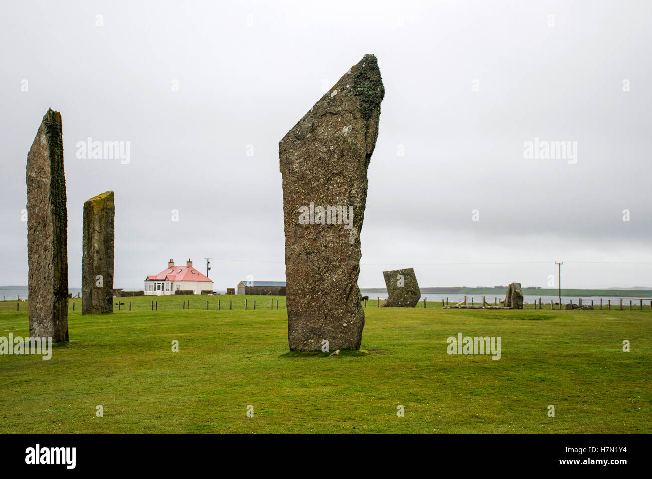 Pietre permanente di Stenness Isole Orcadi Scozia neolitico un cerchio di pietra Foto Stock