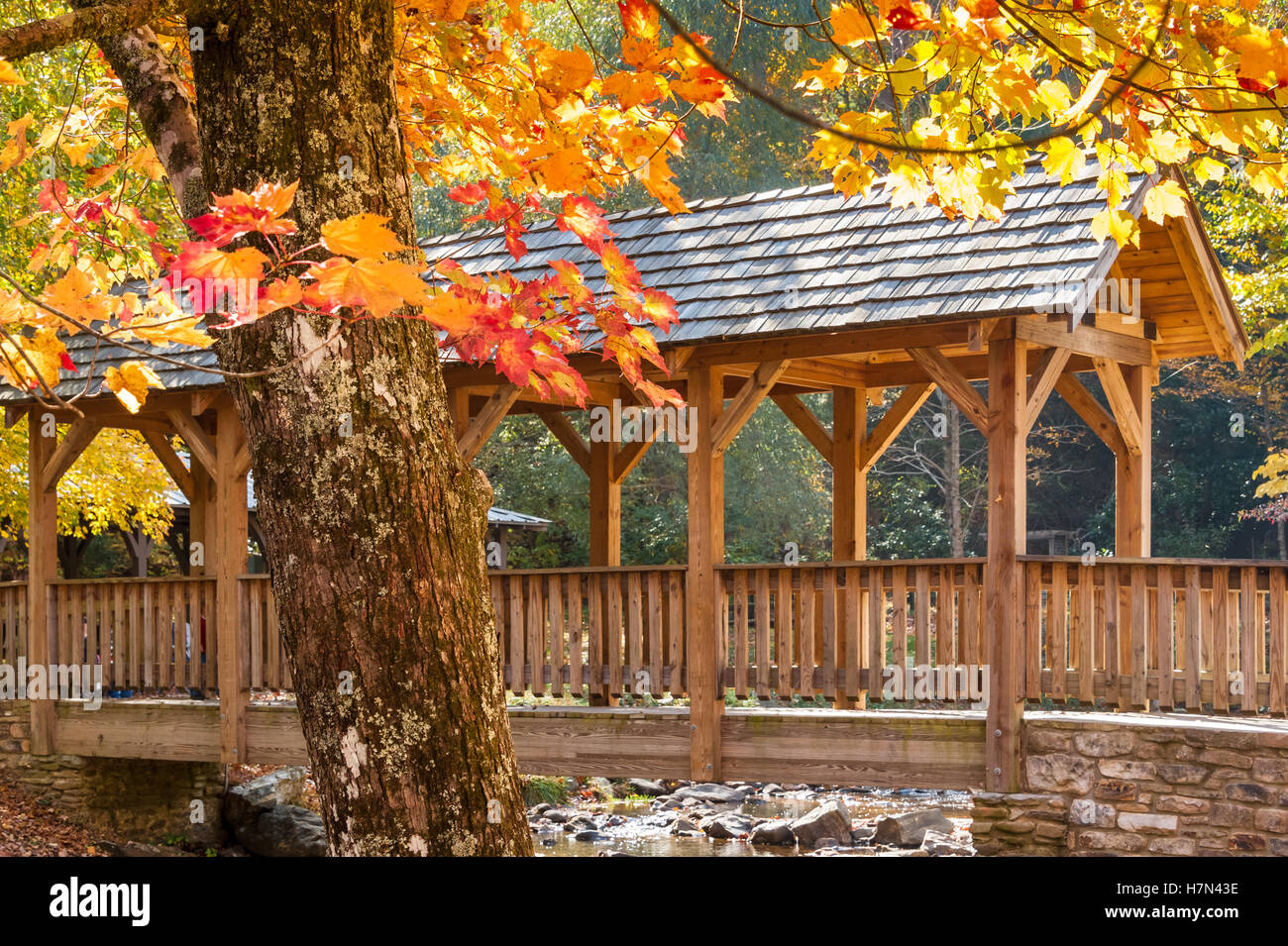 Passerella Coperta su un torrente di montagna in una bella giornata autunnale a Vogel parco dello stato della Georgia Blue Ridge Mountains. (USA) Foto Stock