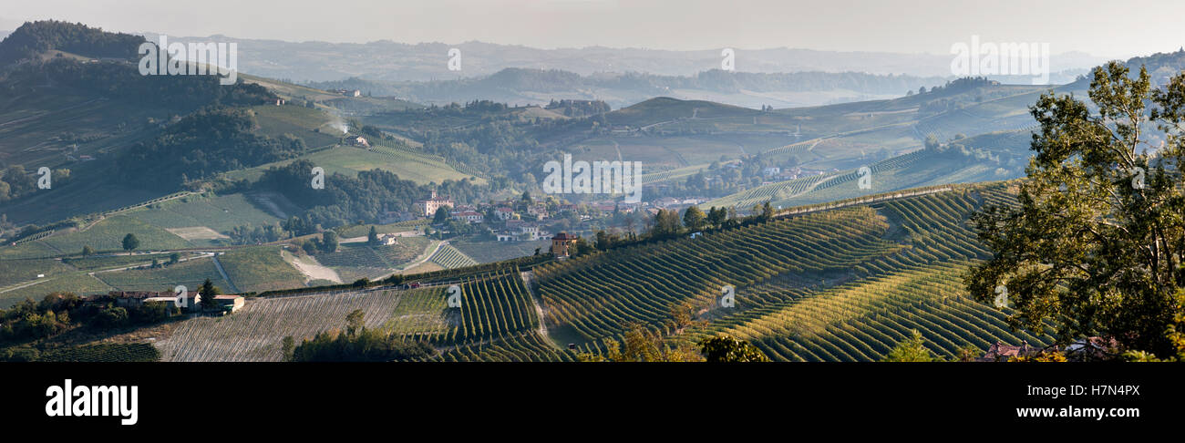 I vigneti di Barolo, una regione viticola della regione Piemonte del nord Italia. La vista qui è da La Morra. Foto Stock