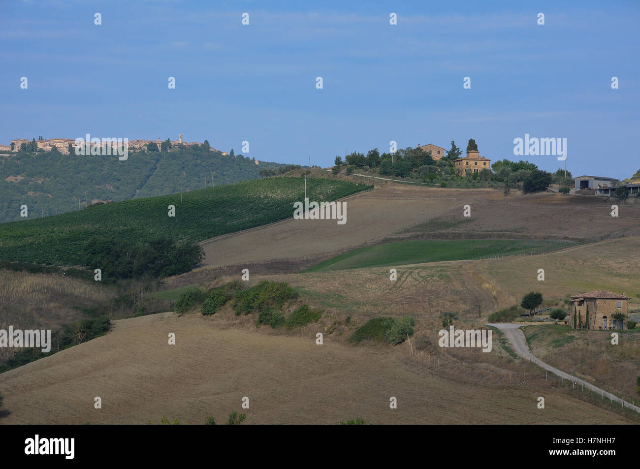 Splendidi paesaggi della campagna Toscana vicino a Montepulciano,Italia Foto Stock