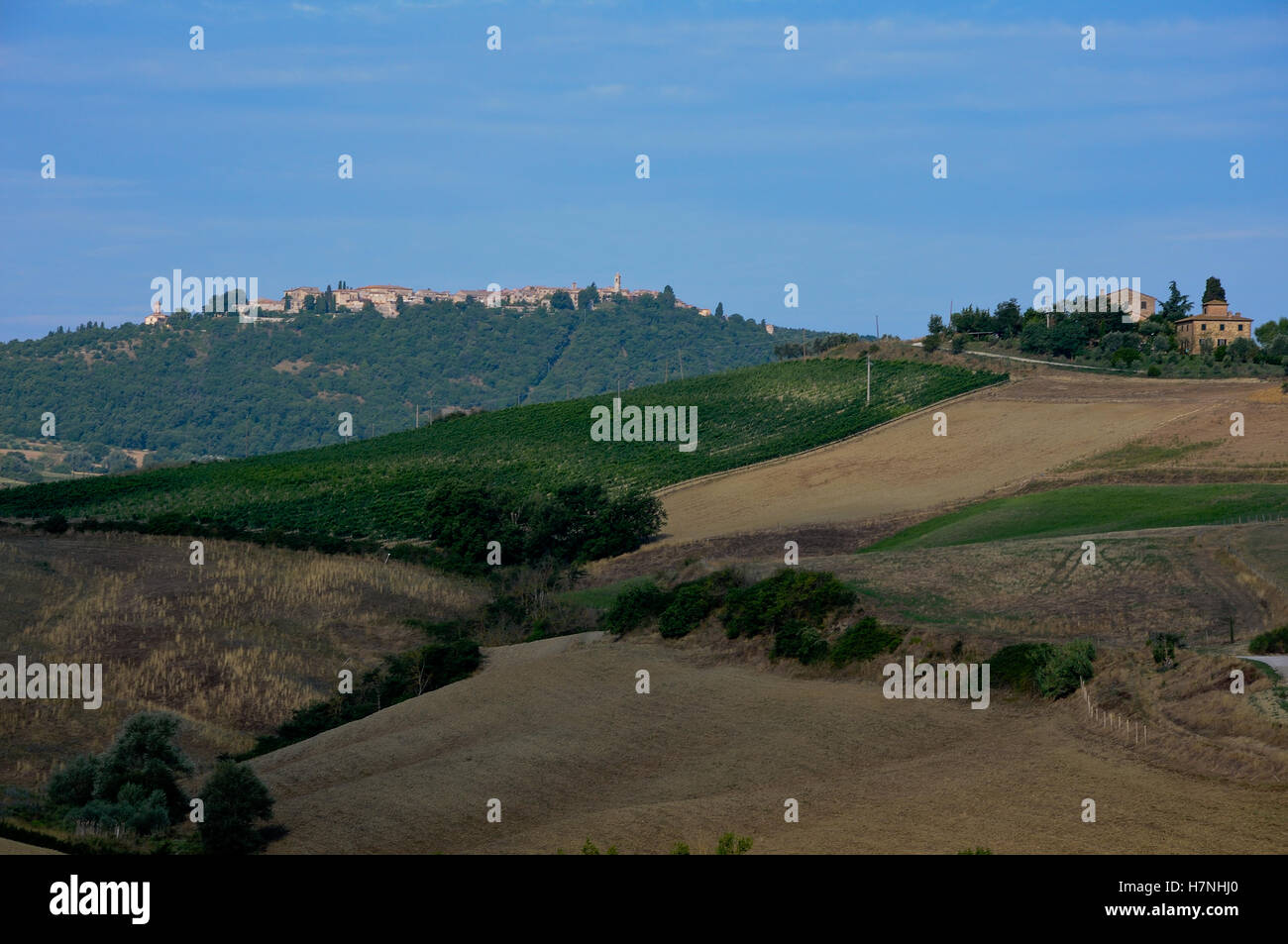 Splendidi paesaggi della campagna Toscana vicino a Montepulciano,Italia Foto Stock