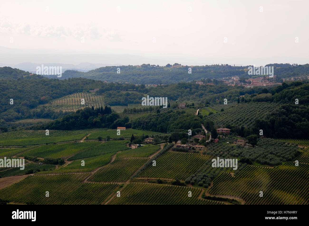Splendidi paesaggi della campagna Toscana vicino a Montepulciano,Italia Foto Stock