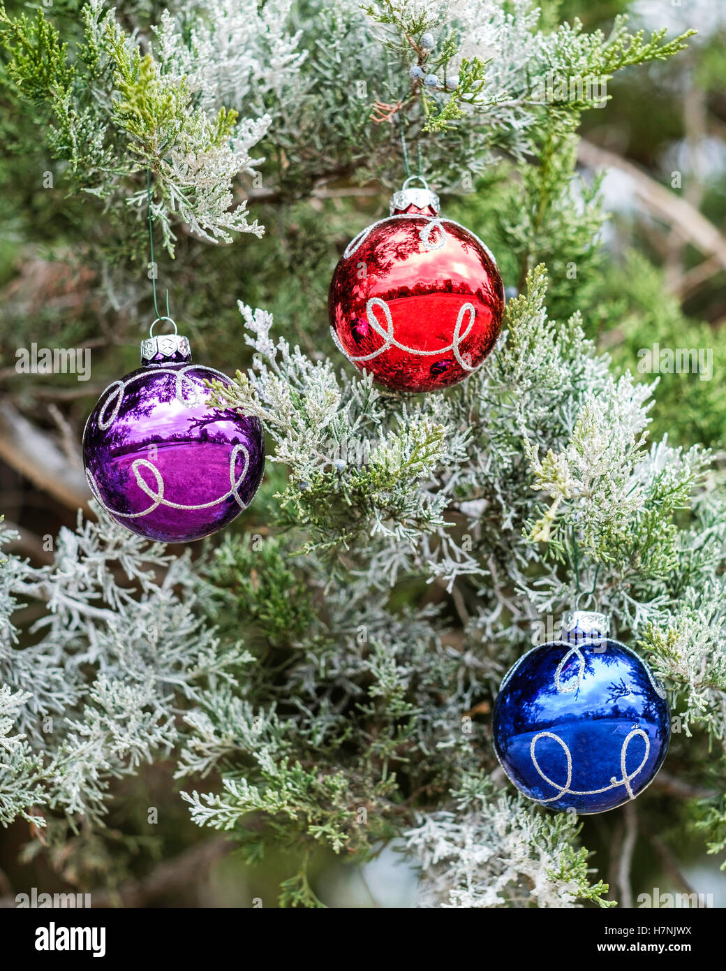 Tre colorate palla di Natale ornamenti su un effetto smerigliato albero di cedro. Primo piano. Foto Stock