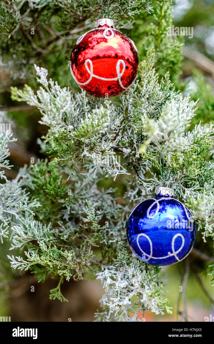 Due coloratissimi palla di Natale ornamenti su un effetto smerigliato albero di cedro. Foto Stock