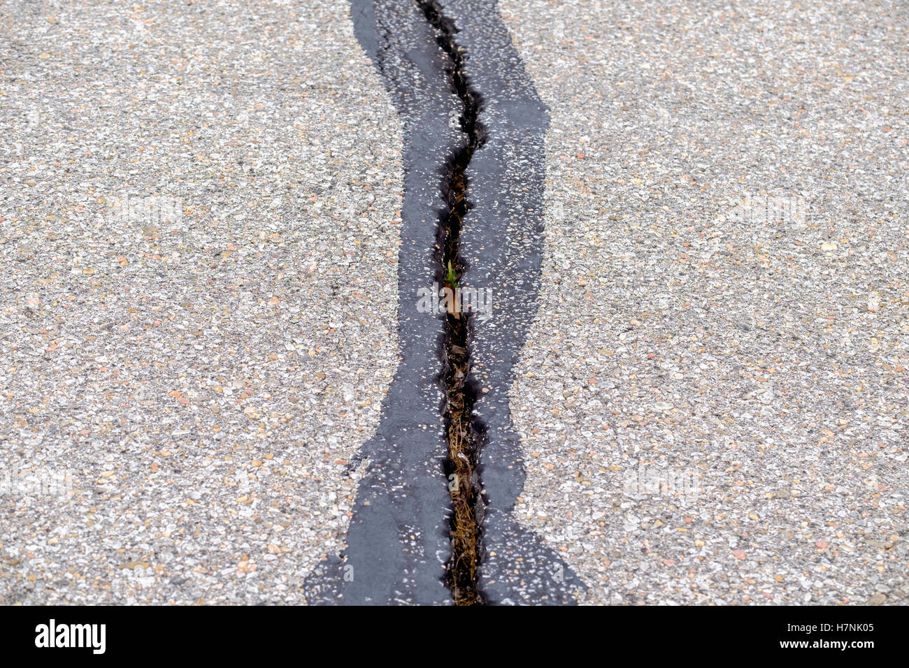 Una crepa in una strada asfaltata causata dal congelamento scongelamento nel ciclo di Wichita, Kansas, Stati Uniti d'America. Foto Stock