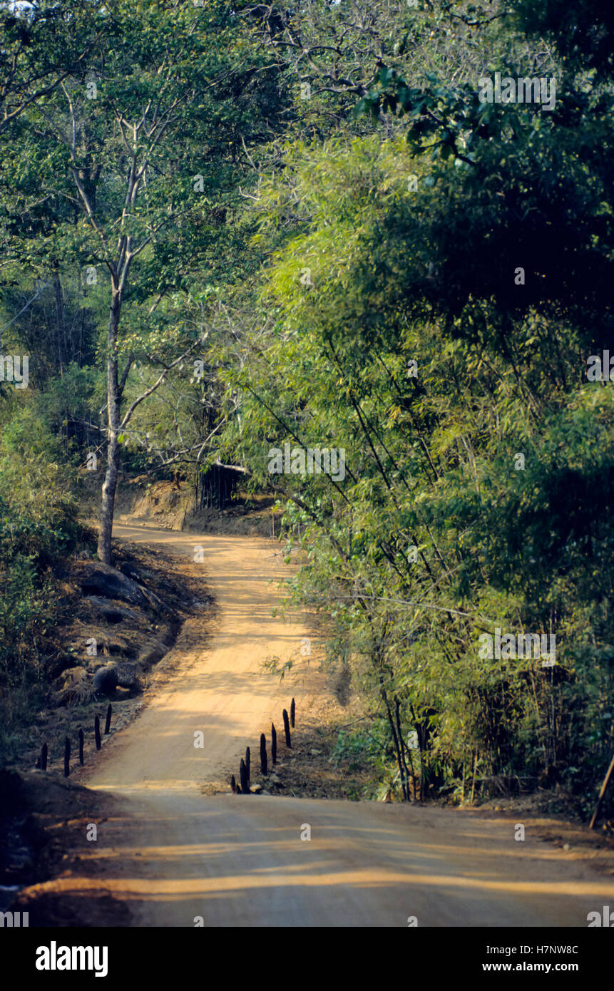 Il paesaggio del Parco Nazionale di Kanha, Madhya Pradesh, India. Foto Stock