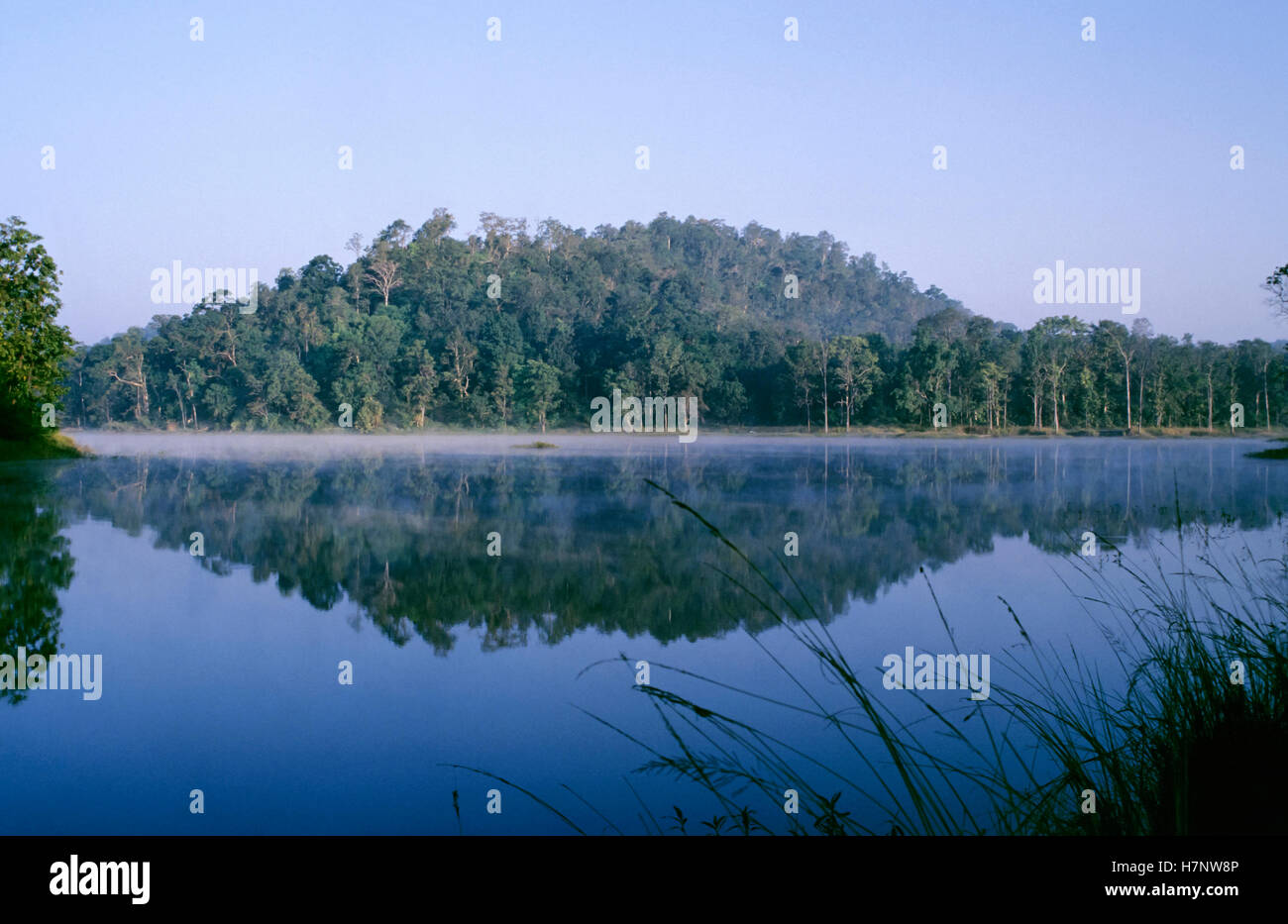 Nagzira lago a Nagzira Wildlife Sanctuary, Maharashtra, India. Foto Stock
