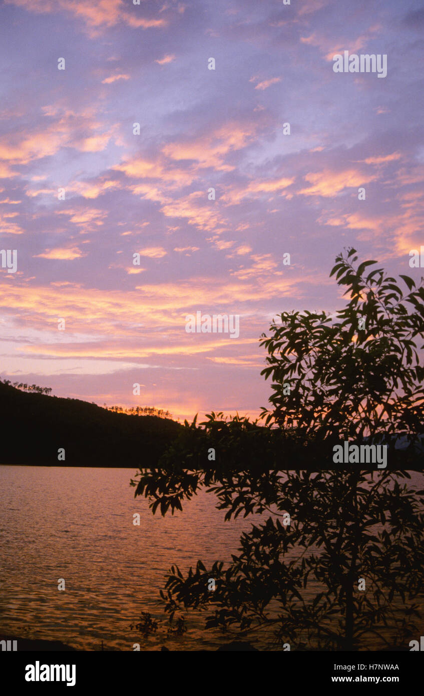 Tramonto a koyna Wildlife Sanctuary, Maharashtra, India. Foto Stock