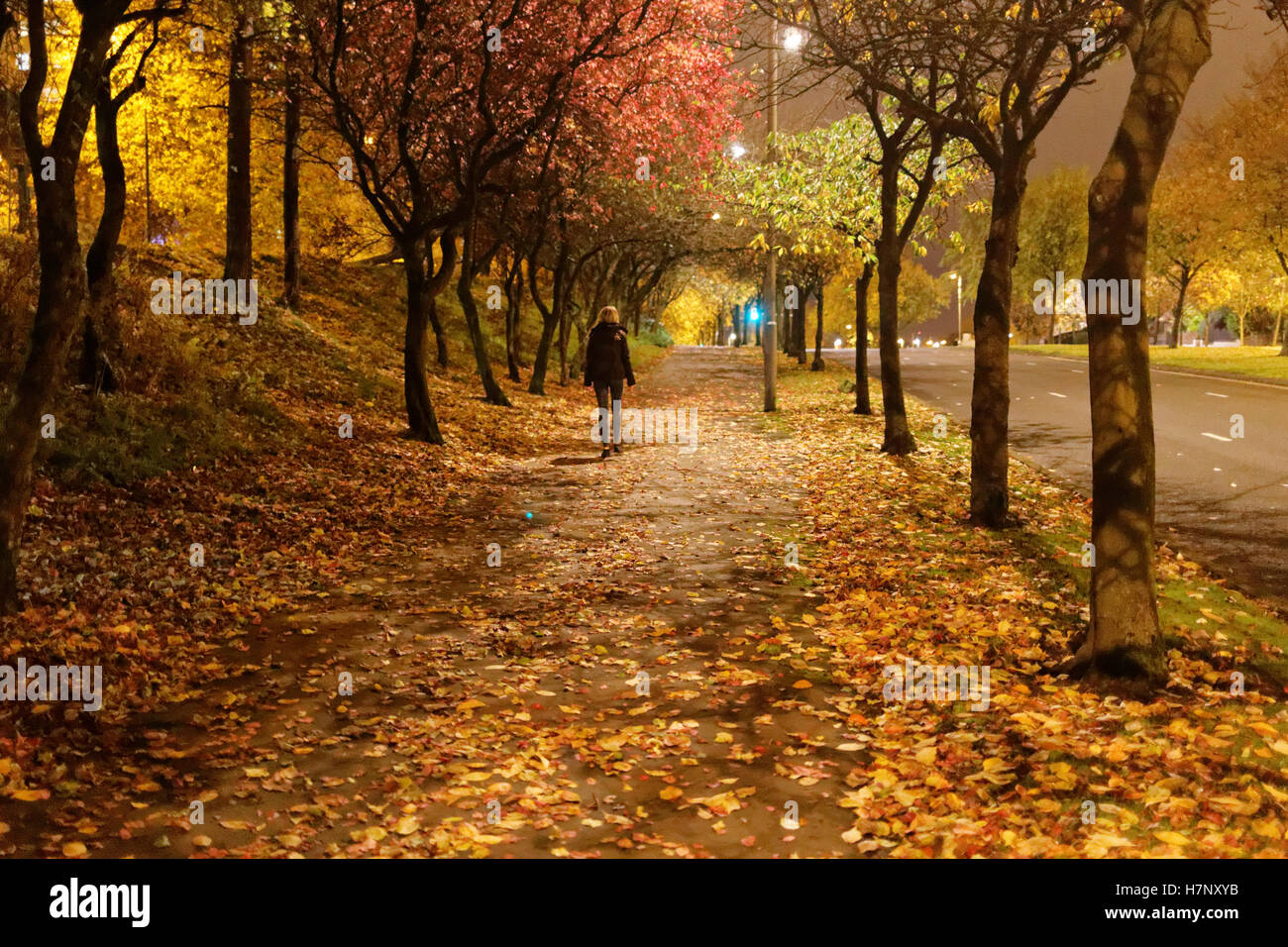 Da solo giovane ragazza camminare tra alberi autunno su strada a tarda notte Foto Stock