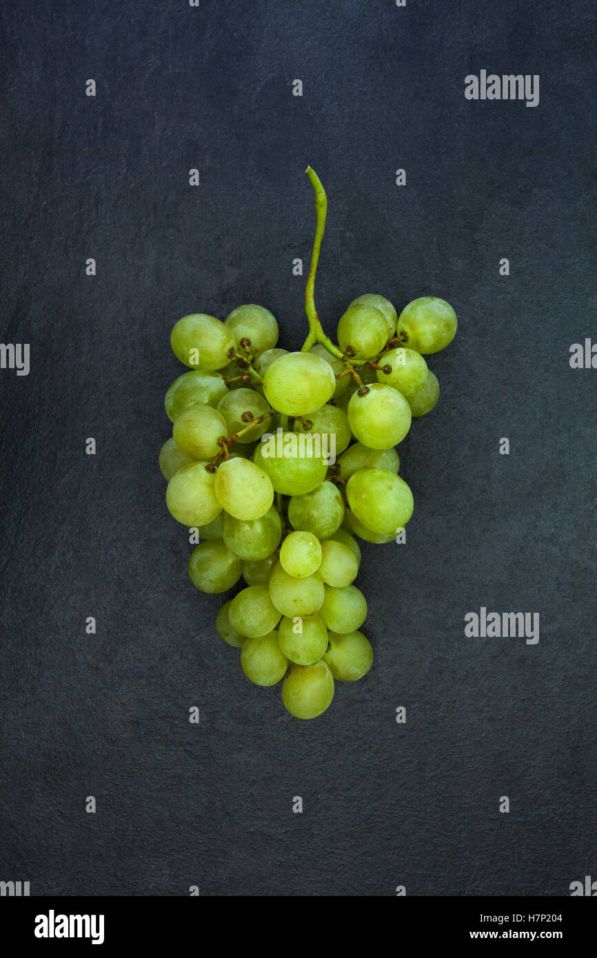 Fresh grappolo di uva verde isolato sul grigio scuro pietra ardesia sfondo Foto Stock