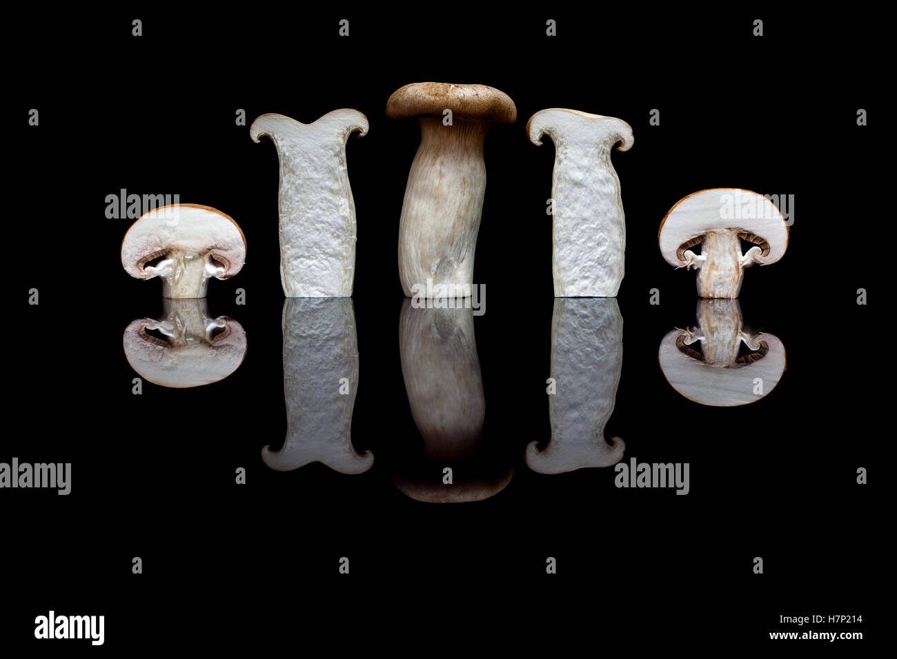 Una intera e due re di taglio funghi Oyster e due tagliati champignon marrone in fila isolato nero su sfondo riflettente Foto Stock