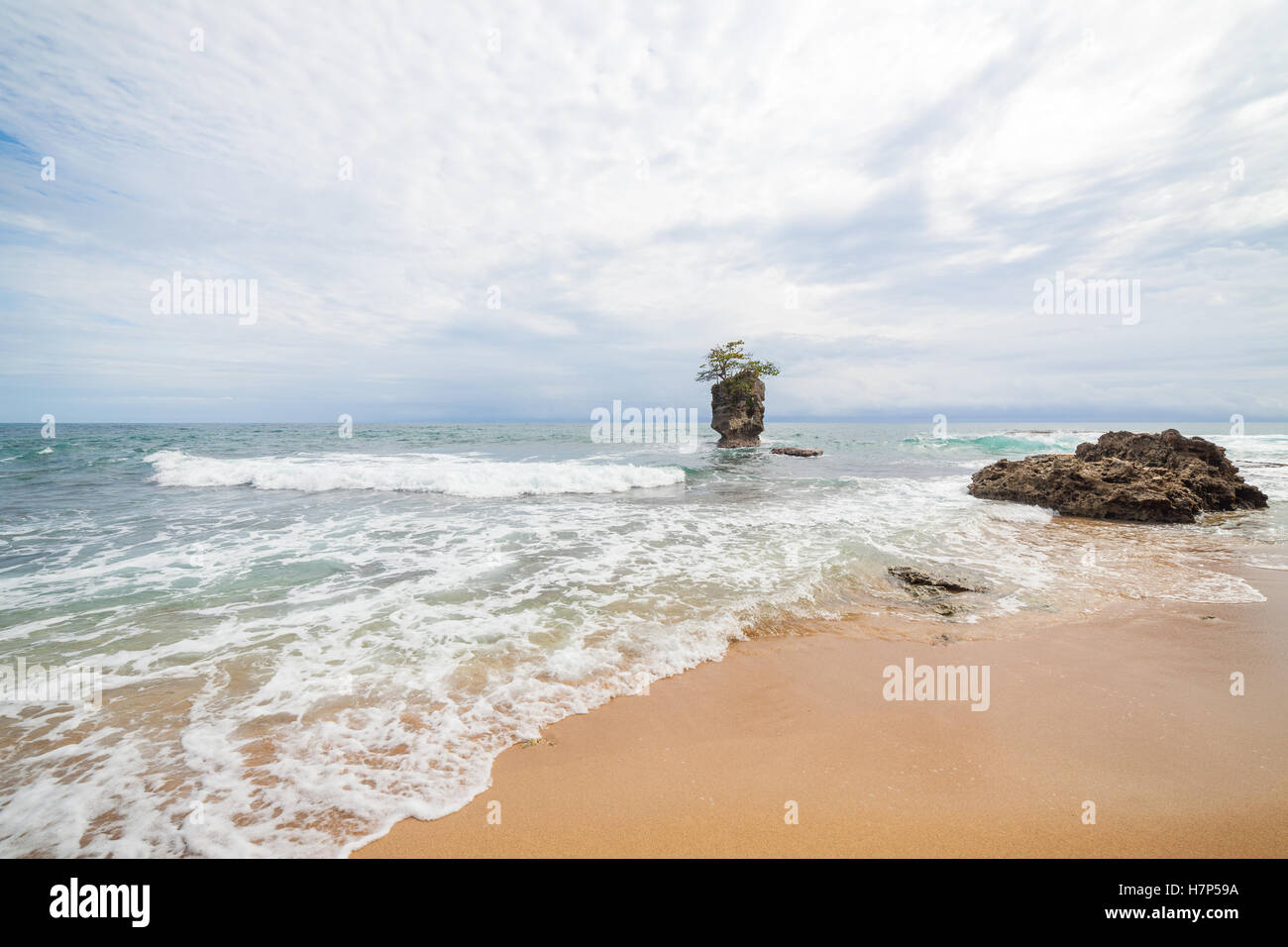 Isolotto di roccia e albero sulla parte superiore vicino alla spiaggia di sabbia Foto Stock