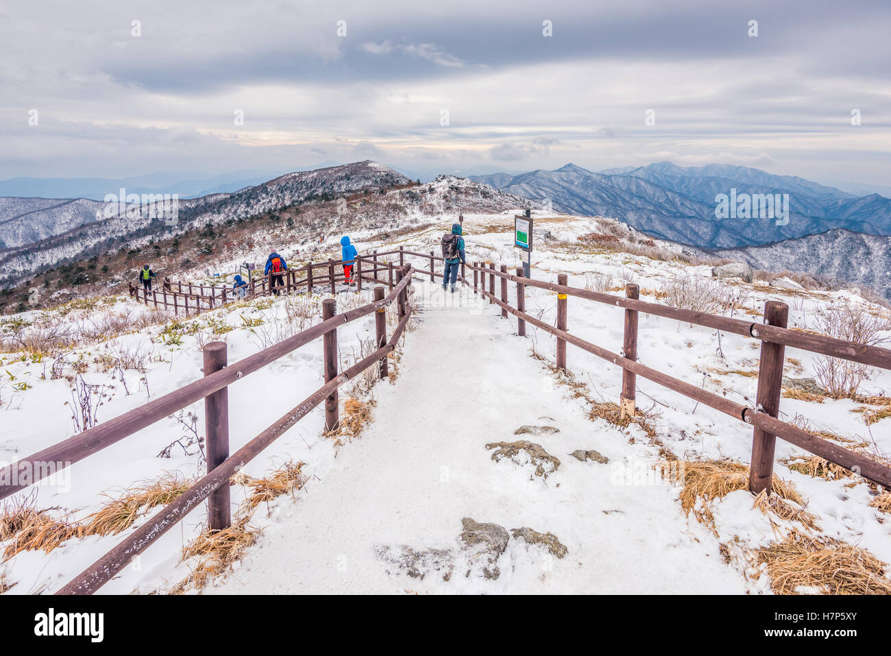 Gli escursionisti in montagne invernali,paesaggio invernale bianco della neve di montagna in Corea Foto Stock