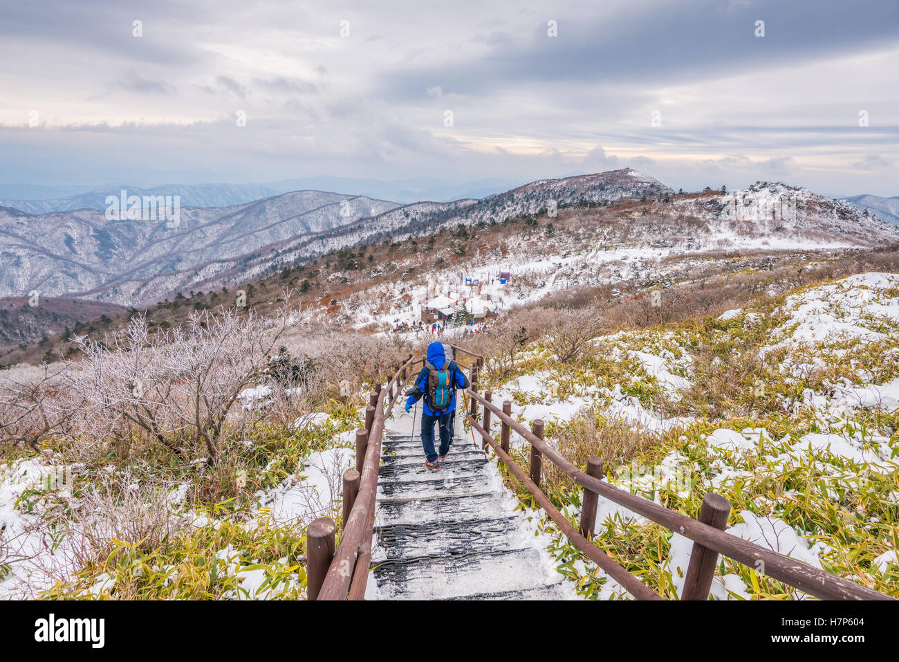 Gli escursionisti in montagne invernali,paesaggio invernale bianco della neve di montagna in Corea Foto Stock