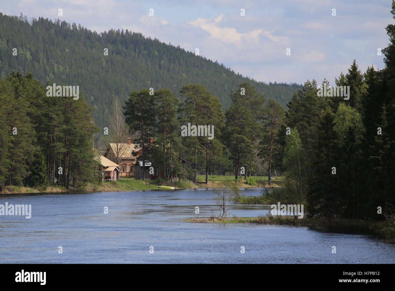 Parte tranquilla del fiume svedese di Ammeraan. Foto Stock