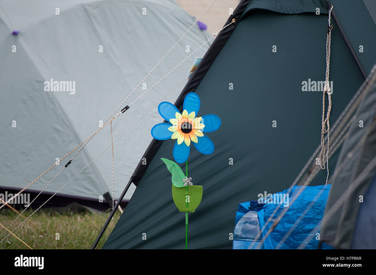 Un fiore segna una tenda in campeggio a Charlton Park durante il festival Womad Foto Stock
