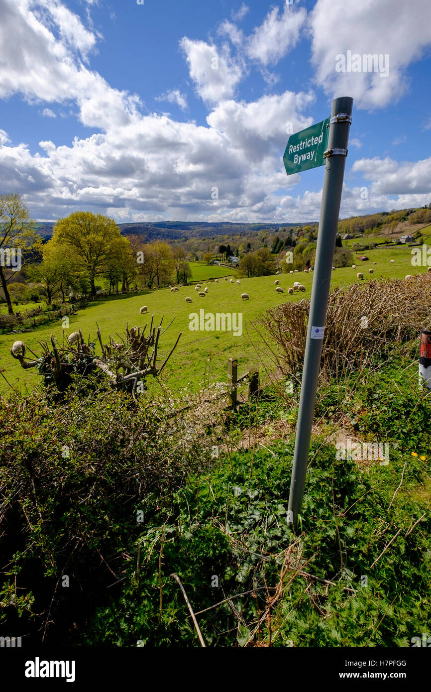 Marcatura di orientamento "limitato Byway"su tutto il campo nel Hewelsfield vicino a Wye Valley e la Foresta di Dean Gloucestershire in Inghilterra. Foto Stock