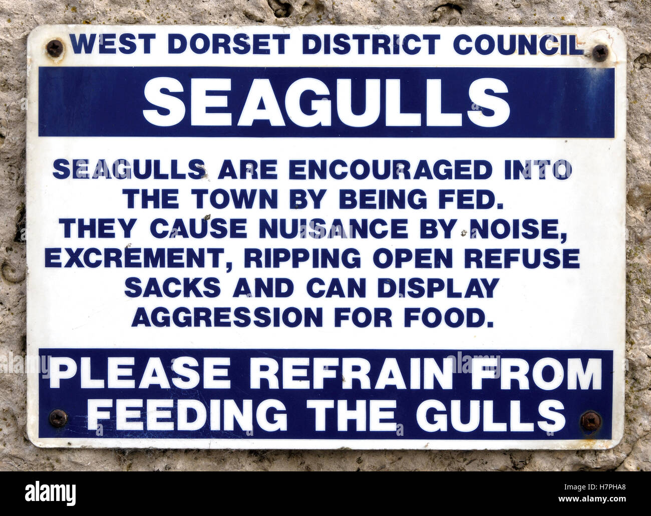 Segno di avvertimento del pericolo di alimentazione di gabbiani a Swanage, Dorset, Inghilterra, Regno Unito. Foto Stock