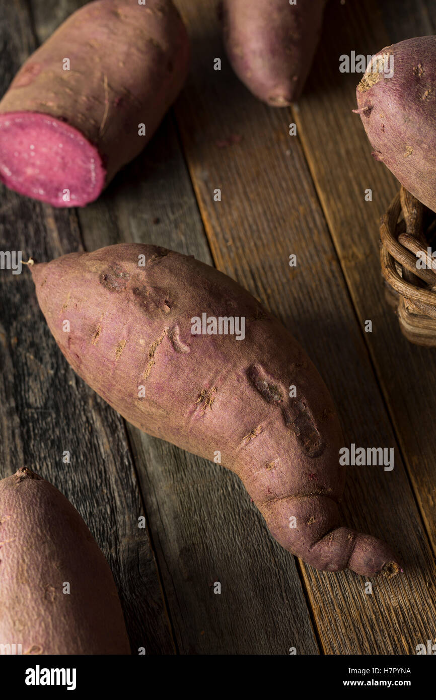 Raw viola organico Patate dolci pronto a mangiare Foto Stock