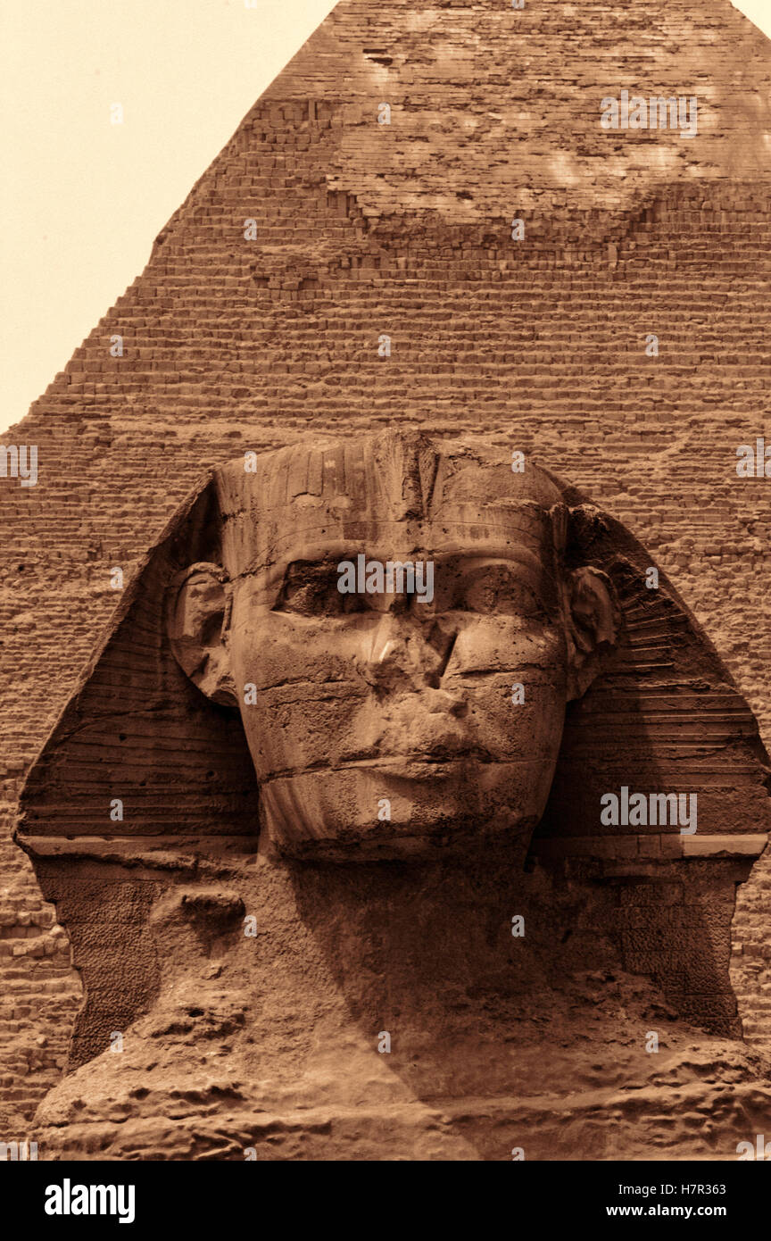 Grande Sfinge di Giza, il Cairo, Egitto Foto Stock
