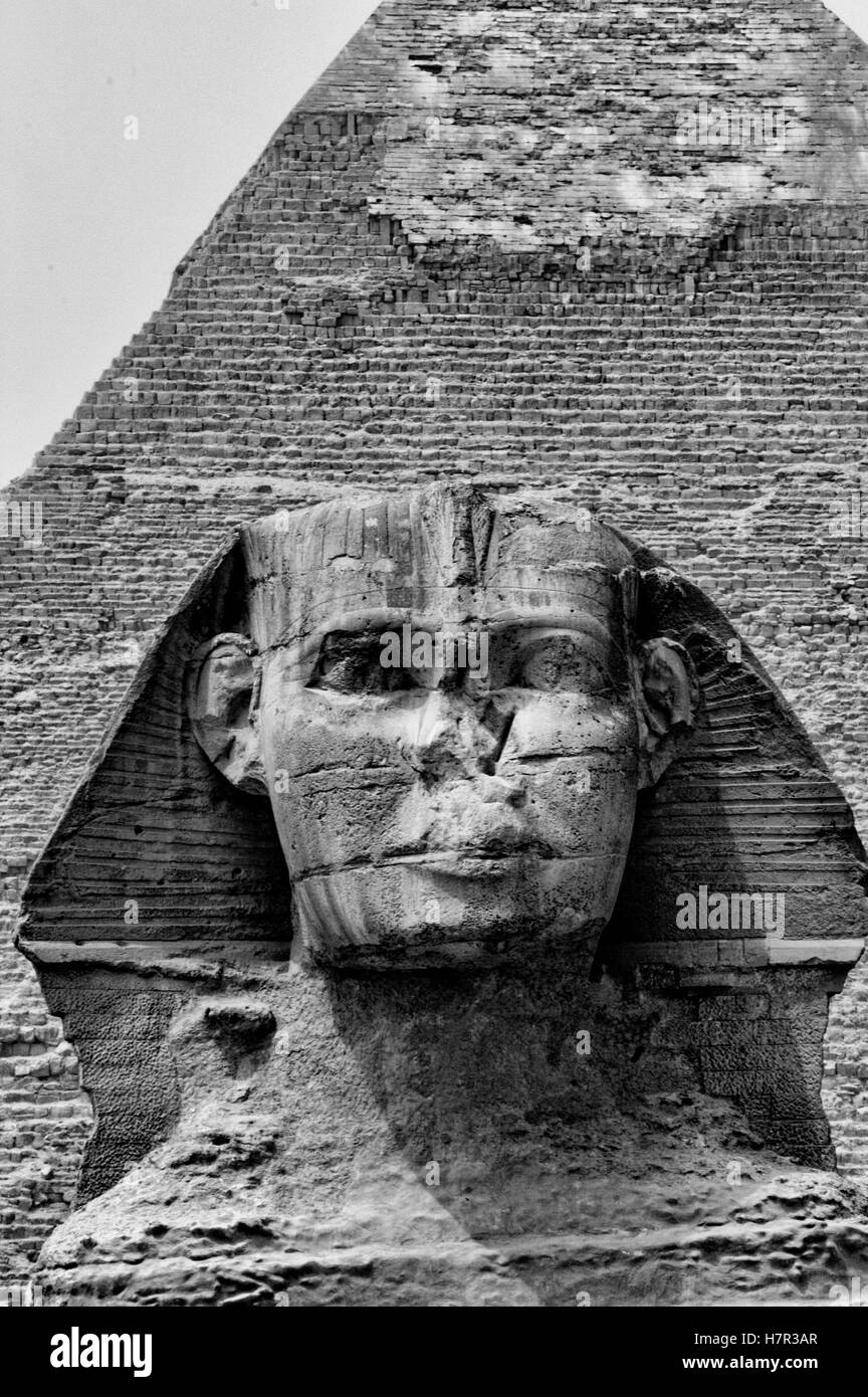 Grande Sfinge di Giza, il Cairo, Egitto Foto Stock