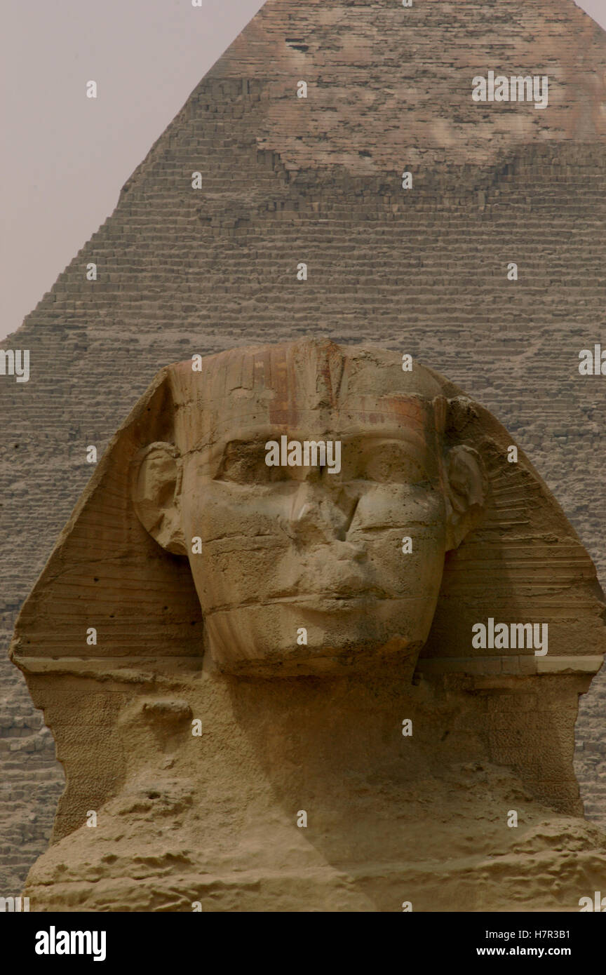 Grande Sfinge di Giza, il Cairo, Egitto Foto Stock