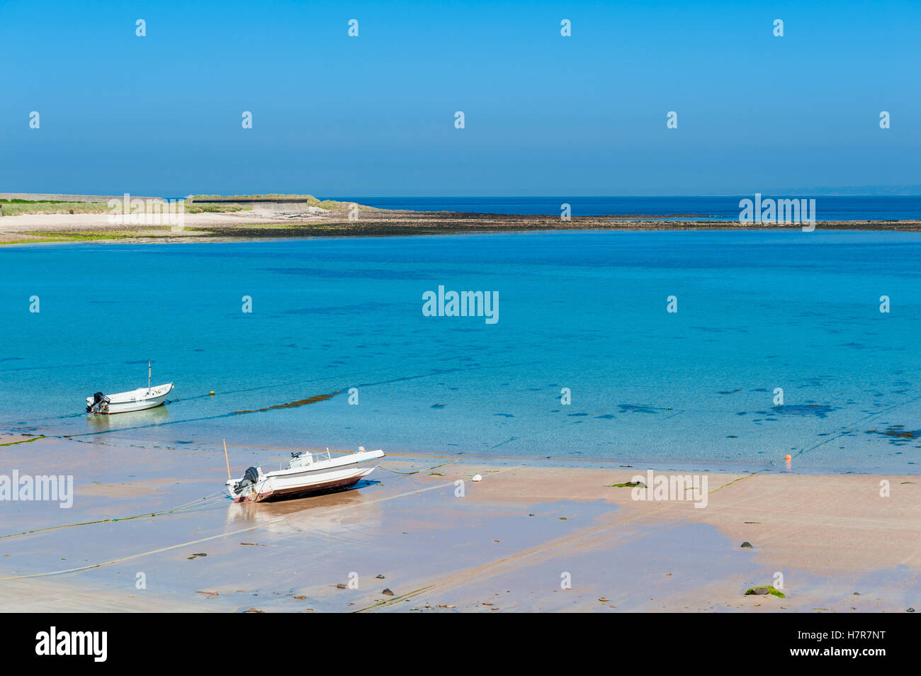 Alderney costa a bassa marea Foto Stock
