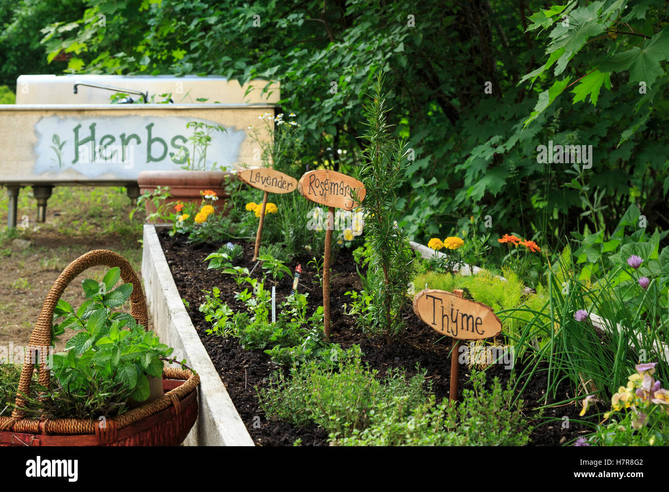 Giardino di erbe aromatiche con segni, New Hampshire Foto Stock