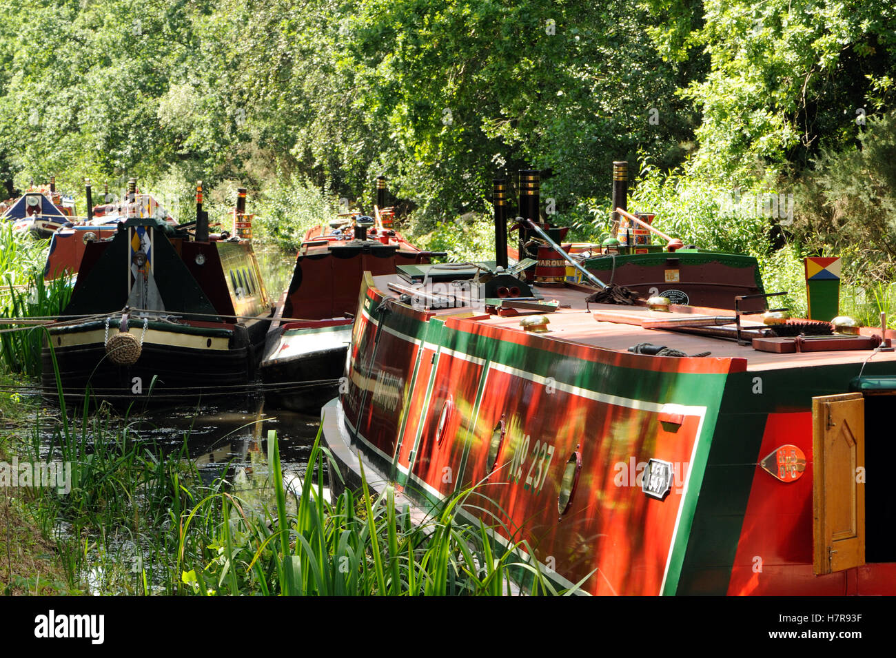 Barche ormeggiate sul Basingstoke canal, Woking, Surrey. Regno Unito Foto Stock