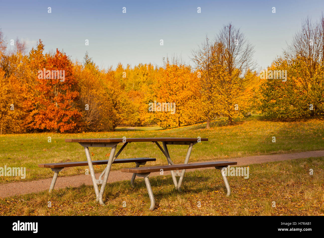 Immagine di una panchina nel parco in autunno bella impostazione. Foto Stock