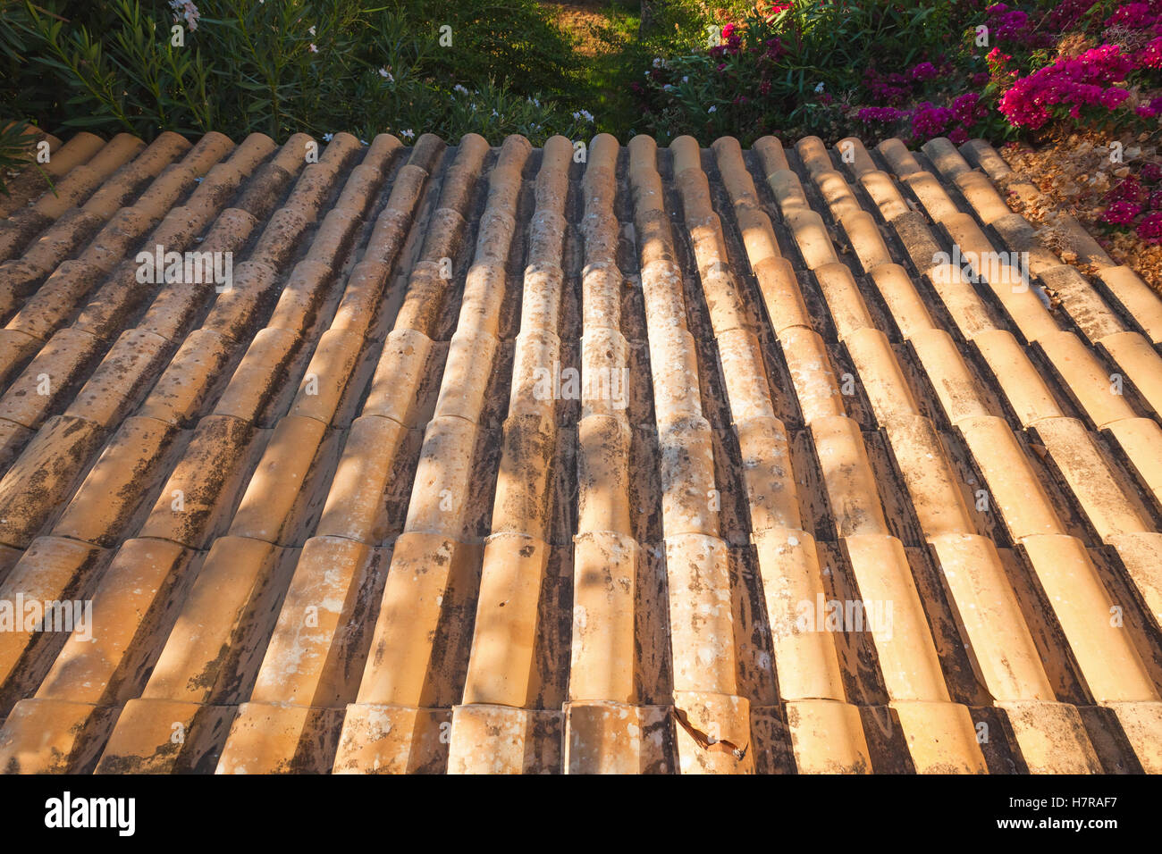 Piastrelle vecchie pendenza del tetto va giù nel giardino estivo, foto di sfondo con effetto prospettico Foto Stock