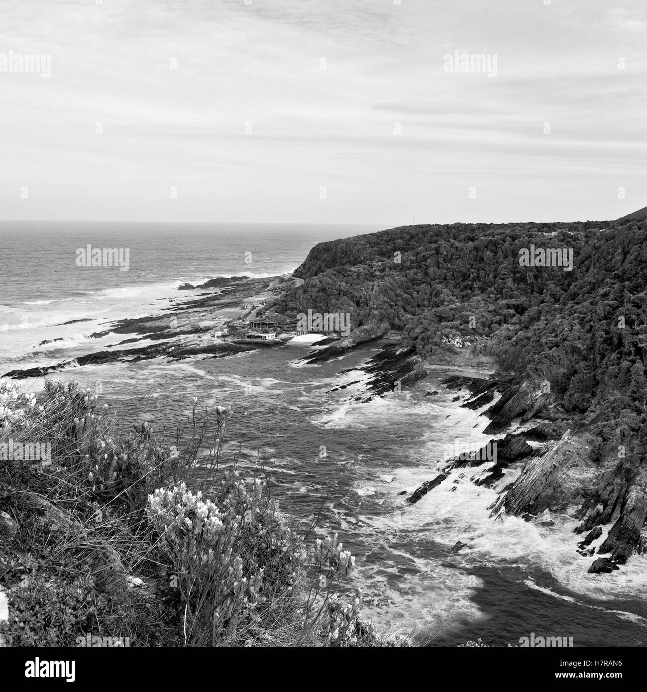 La sfocatura in Sud Africa sky oceano riserva tsitsikamma natura e rocce Foto Stock