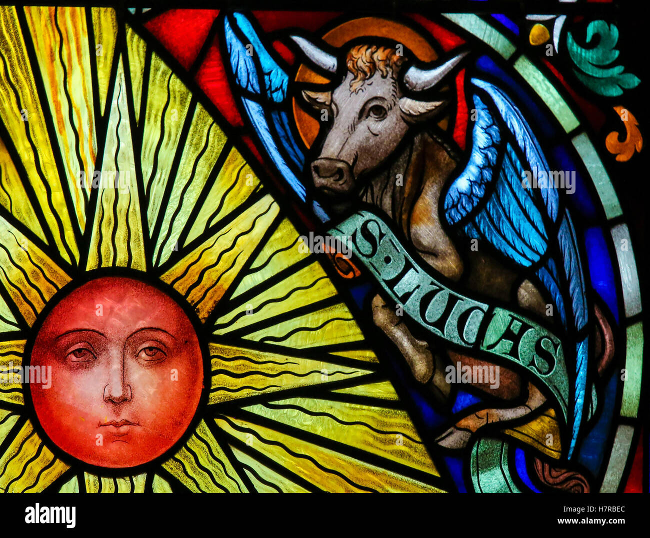 Vetrata raffigurante un sole e un toro, simbolo di San Luca Evangelista, nella Cattedrale di San Rumbold in Meche Foto Stock