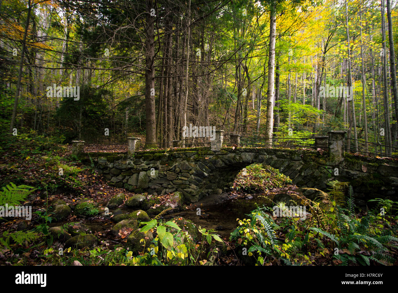 Wonderland. ponte storico abbandonato nella foresta di Smoky mountains nella elkmont quartiere storico. gatlinburg, tennes Foto Stock
