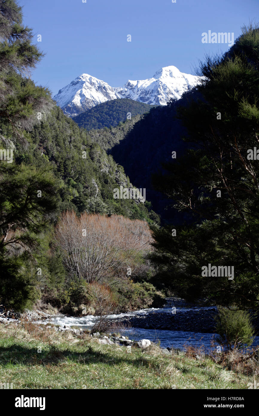 Il Wangapeka River Valley, Kahurangi National Park, Nuova Zelanda Foto Stock