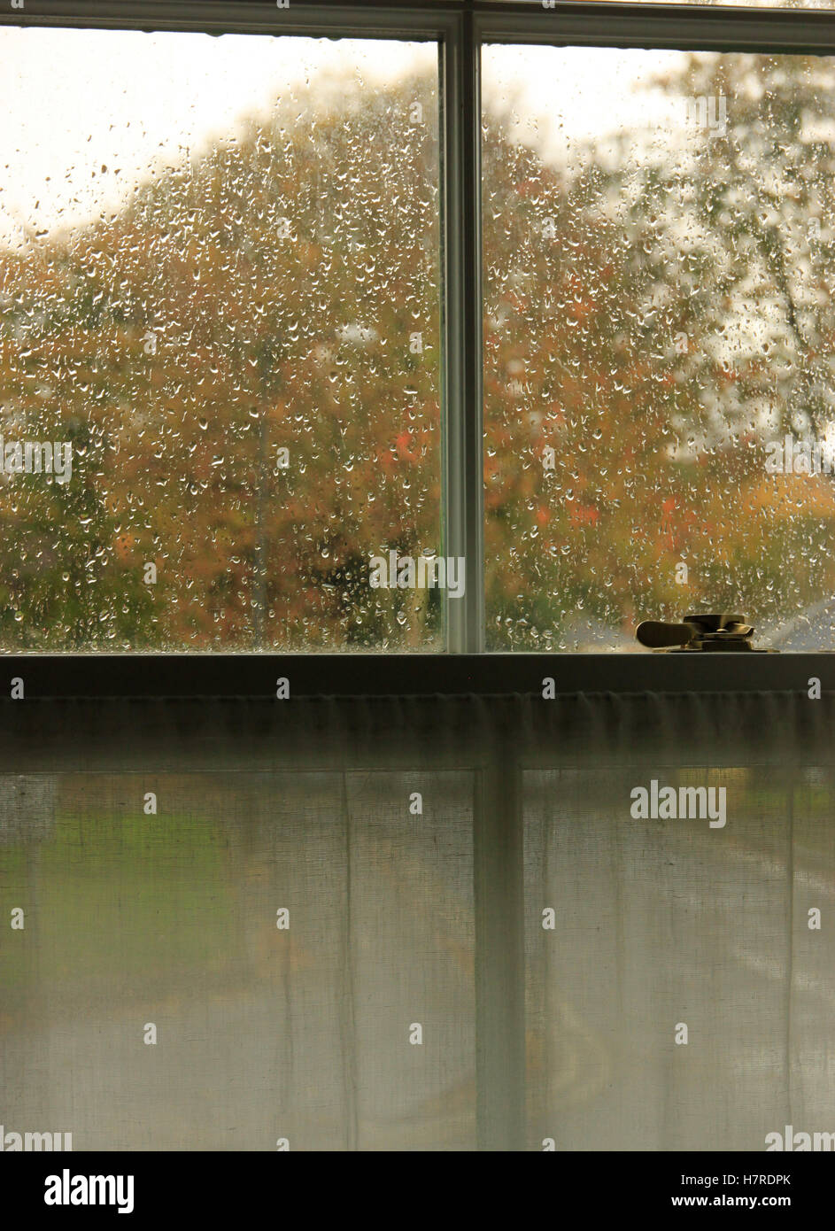 Inglese britannico meteo piovosa giornata d'autunno visto attraverso la Georgia nella finestra a ghigliottina in città mercato. Foto Stock