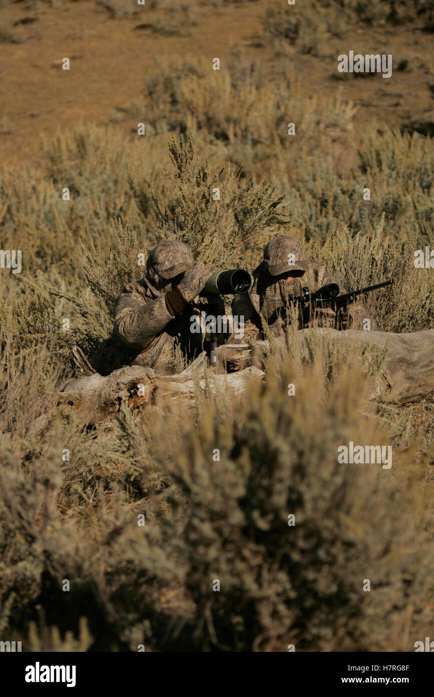 Big Game Hunter in camuffamento nella spazzola di salvia Foto Stock