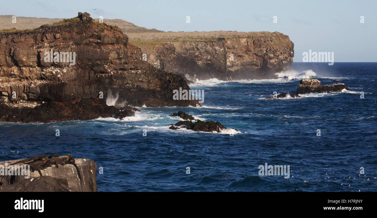 Vista del paesaggio dal mare di scogliere e promontori di Espanola Isola Foto Stock