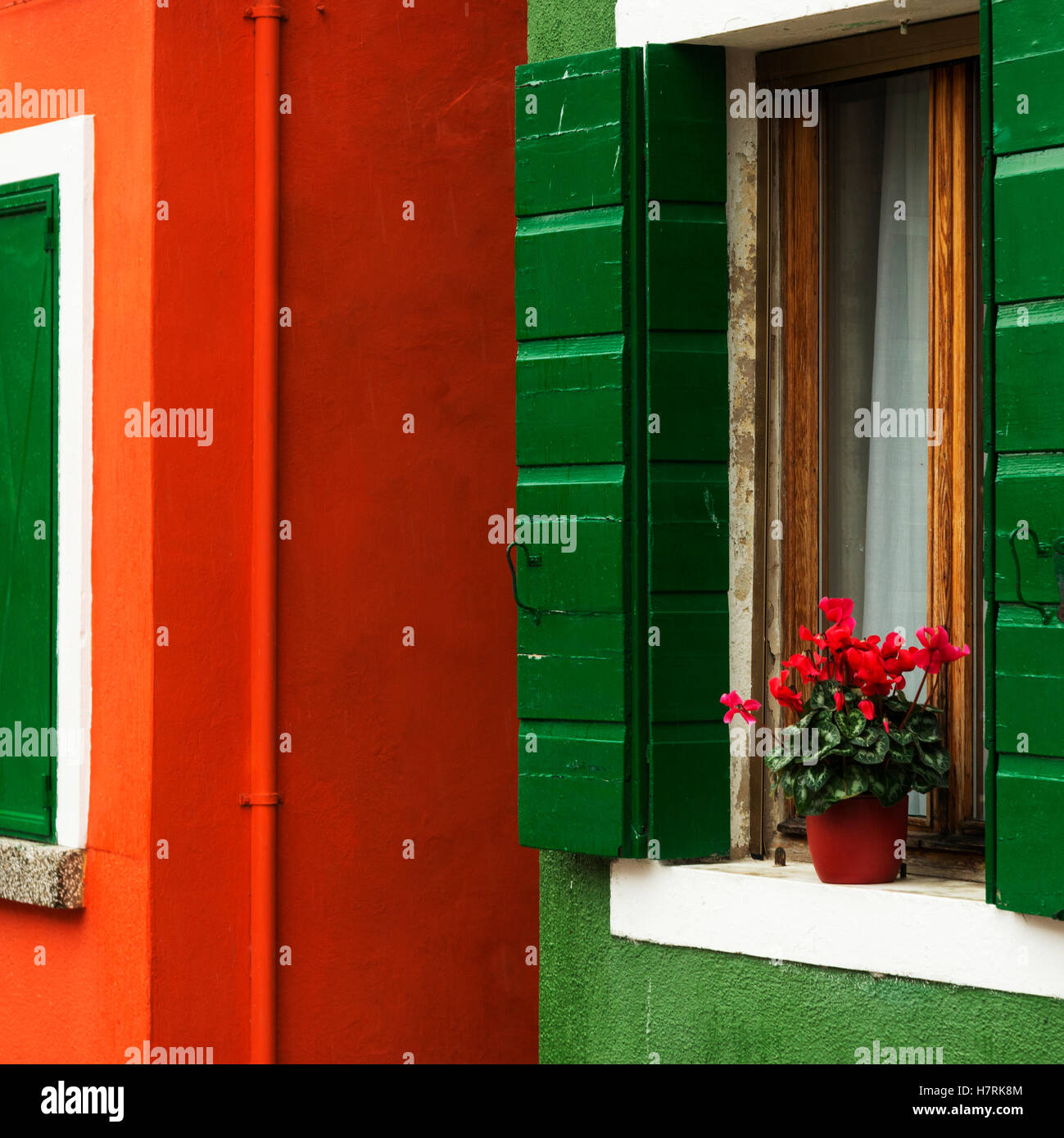 Le pareti di una casa dipinta di rosso e verde con un fiore in vaso sul davanzale; Venezia, Italia Foto Stock